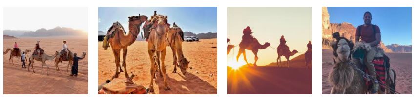 Camel Tour with Jordan Incentive Tours