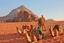 Wadi Rum Tour From Dead Sea 6