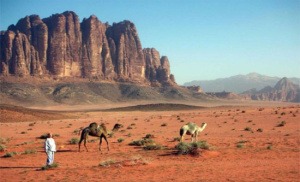Wadi Rum Tour From Dead Sea 1