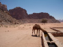 02 Hours Jeep Tour in Wadi Rum 4