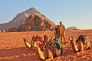 08 Hours Jeep Tour in Wadi Rum 3
