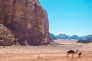 08 Hours Jeep Tour in Wadi Rum 6