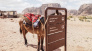 Jordan Horizons Tours - Petra Guided Trails 2