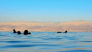 Dead Sea Day Trip from Aqaba City 5