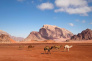 Wadi Rum and Petra Tour for 03 Days - 02 Nights from Aqaba City 6