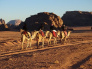 Camel Riding in Petra & Wadi Rum  08