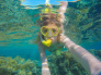 Red Sea Experience (Snorkeling) & Diving tours in Aqaba Jordan  07