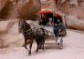 Horse Carriage in Petra 02