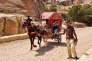 Horse Carriage in Petra 04