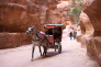 Horse Carriage in Petra 01