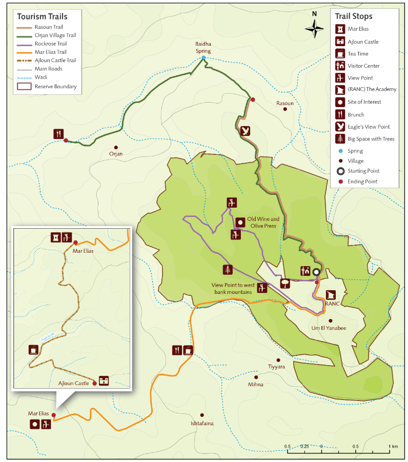 Ajloun Forest Reserve | Jordan Horizons Tours is tour operator ...