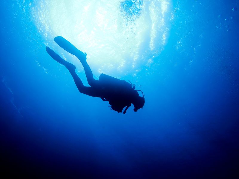 Circuit de plongée sous-marine et activités nautiques de 10 jours et 09 nuits