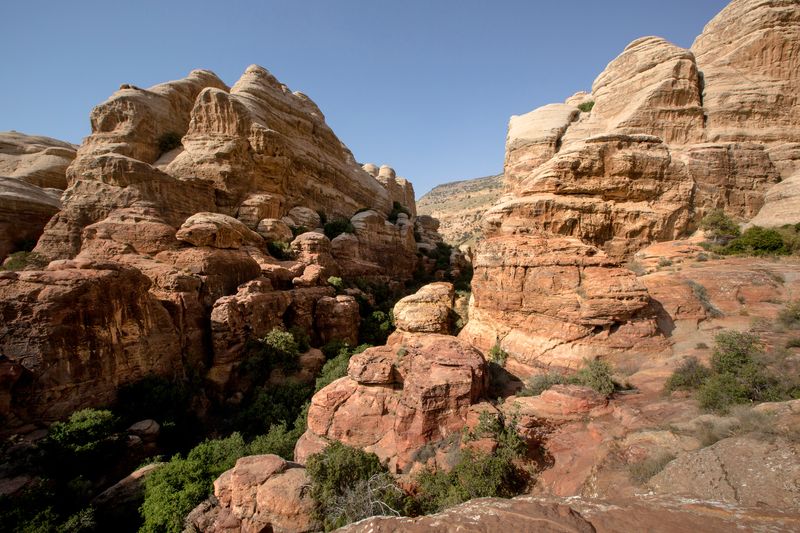 Circuit en Jordanie depuis Jérusalem ou Tel Aviv : Pétra, Wadi Rum, Jerash, visite de la ville d'Amman et la route des rois 04 jours - 03 jours (JEJ-JHT-015)