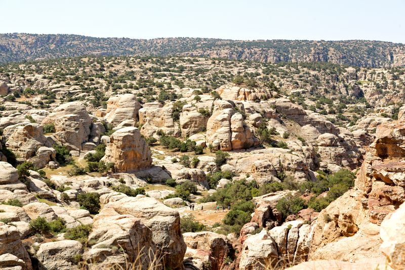 Circuit en Jordanie de 9 jours et 8 nuits : circuit exceptionnel en Jordanie (CT-JHT-016)