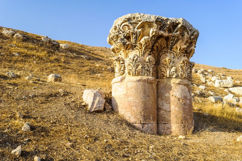 Jerash et Ajloun Day Trip from the Dead Sea (D.S-JHT-006)