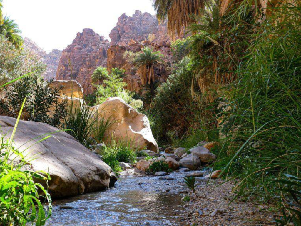 Adventure Jordan Tours - Wadi Al Ghuweir trail experience