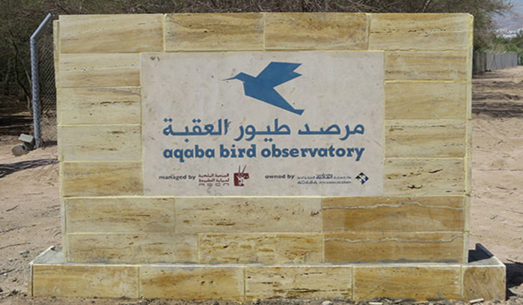 Circuit d'observation des oiseaux en Jordanie de 10 jours et 9 nuits