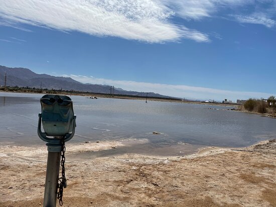 Circuit d'observation des oiseaux en Jordanie de 10 jours et 9 nuits