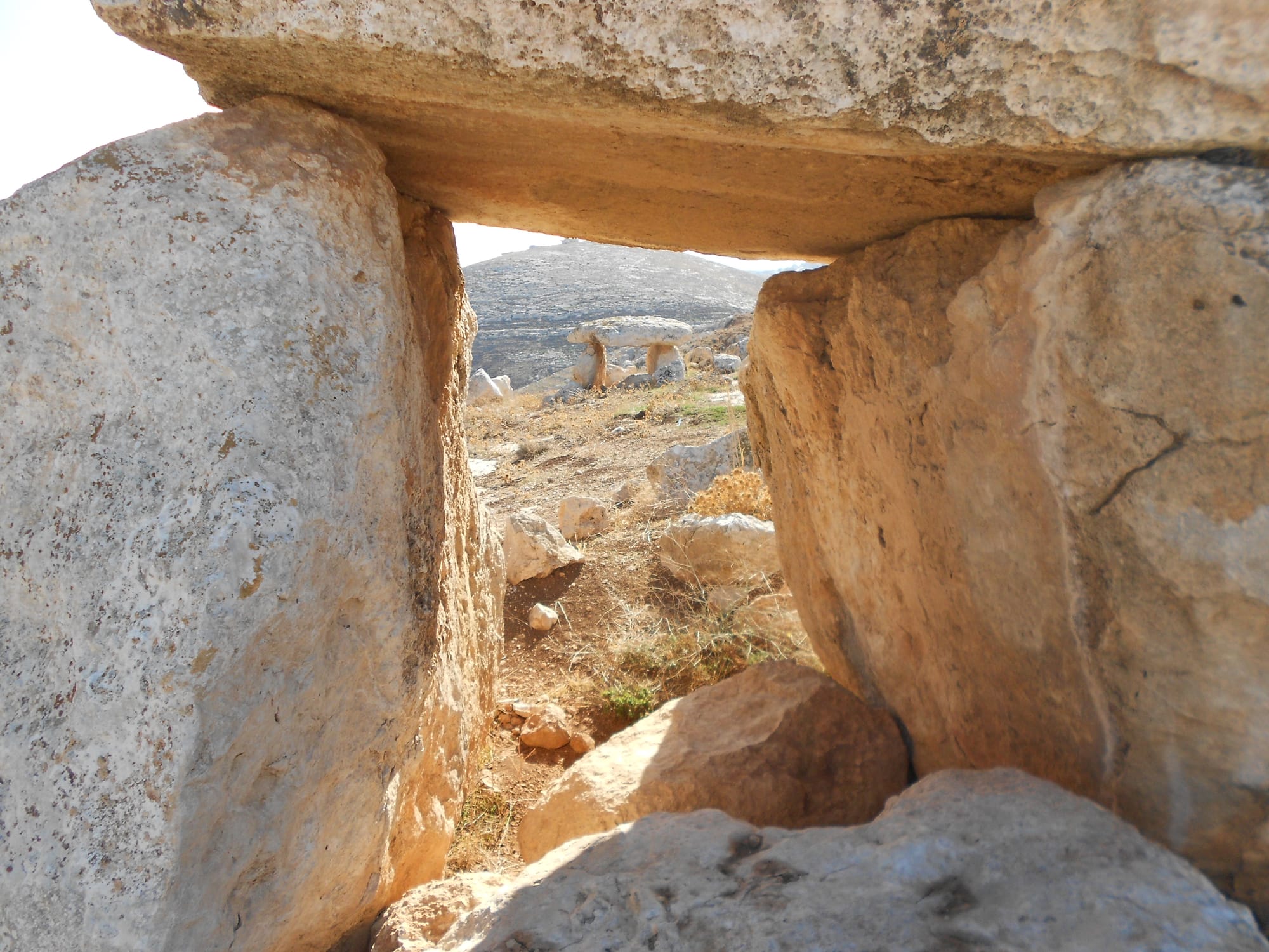 Campo de dólmenes y maravillas arqueológicas de la meseta de Damiya en Jordania