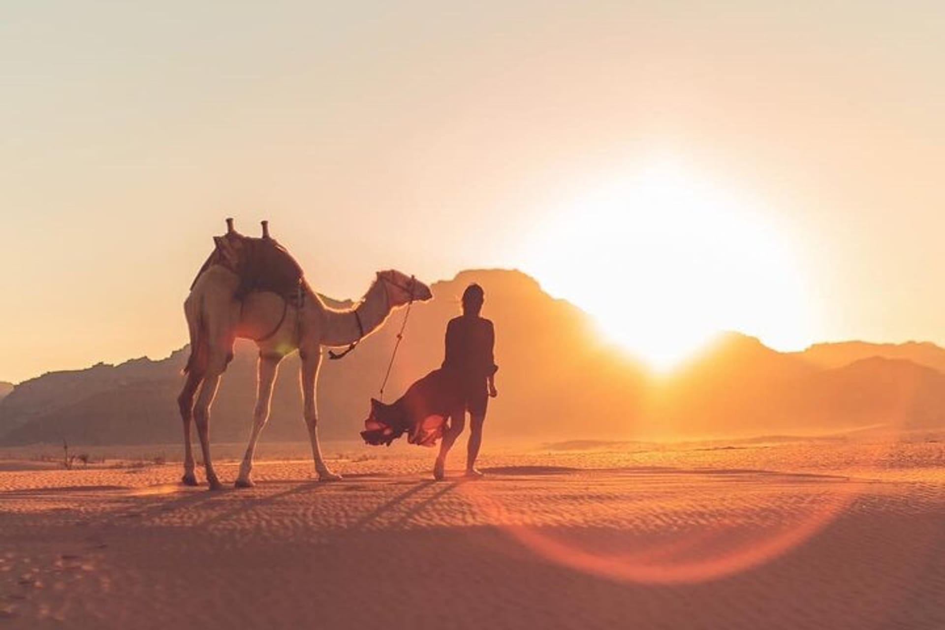 Paseo en camello en Petra y Wadi Rum, experiencia de viaje por el desierto de Jordania 10
