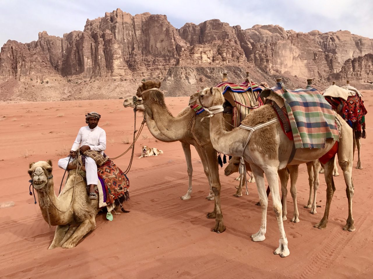 Paseo en camello en Petra y Wadi Rum, experiencia de viaje por el desierto de Jordania 11