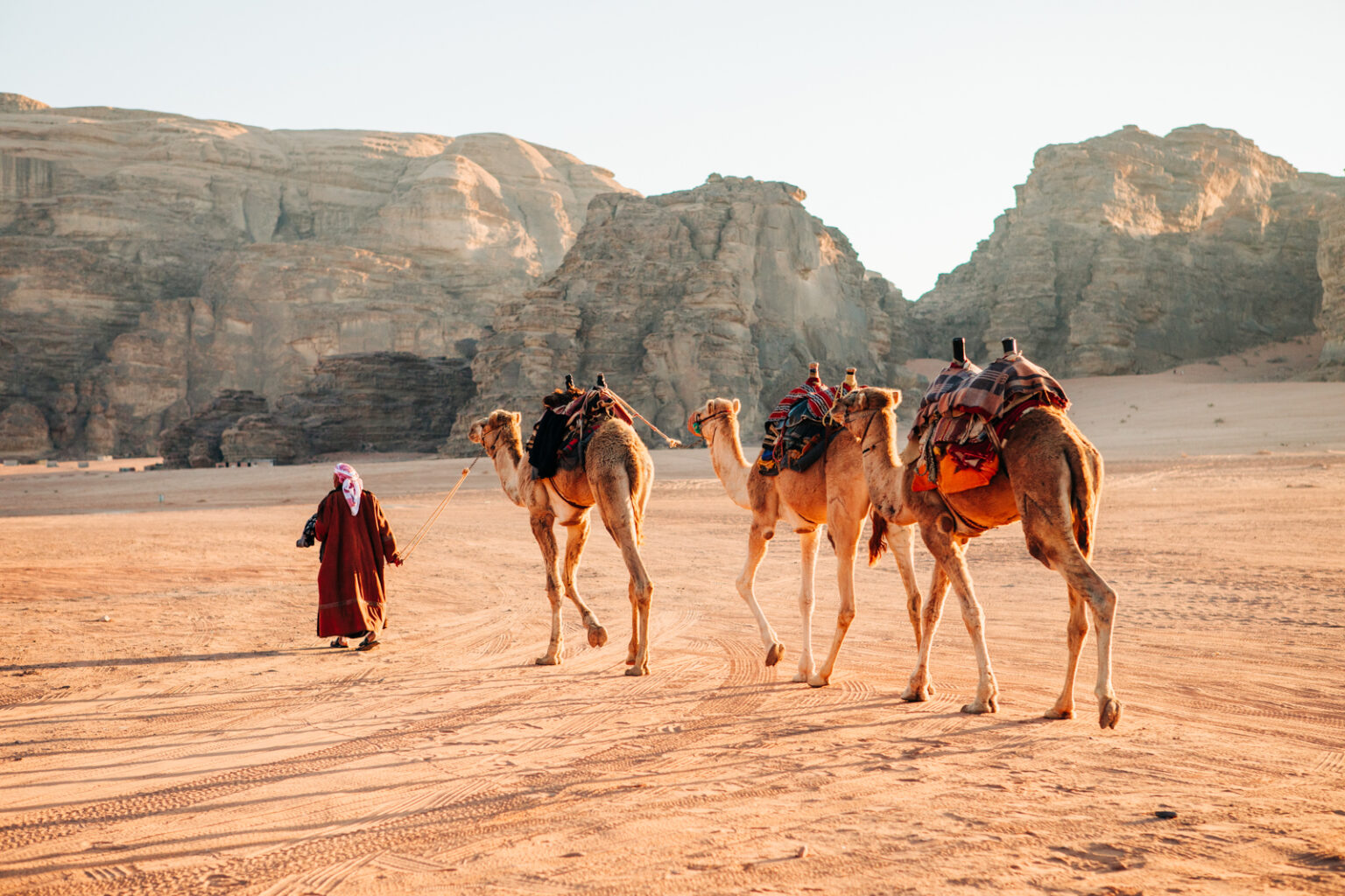 Paseo en camello en Petra y Wadi Rum, experiencia de viaje por el desierto de Jordania 6