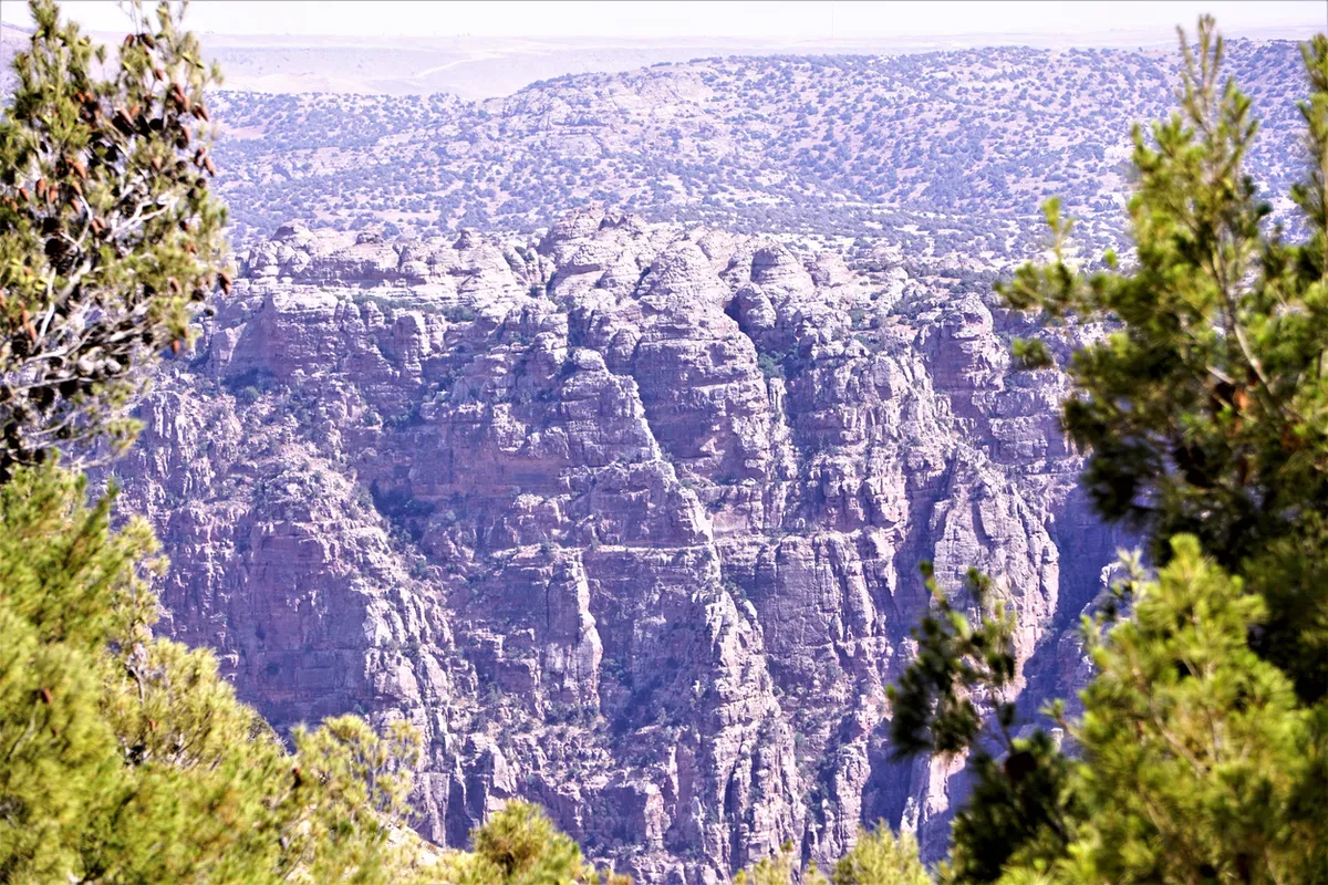 Eco tourism and wildlife scenery in Dana Biosphere Reserve