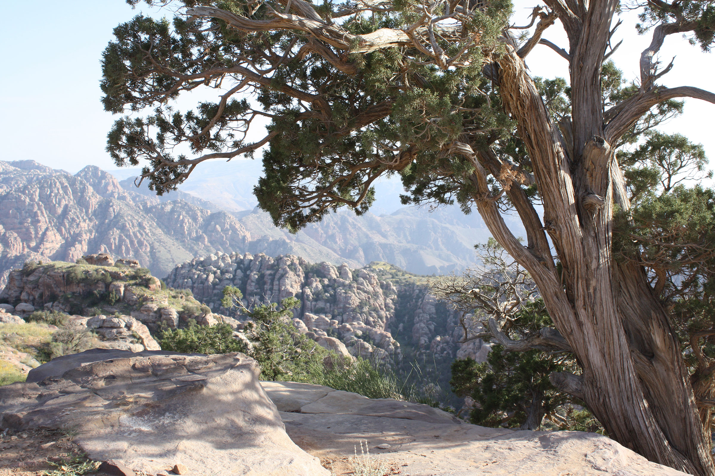 Dana Reserve travel photo with valleys cliffs and wilderness