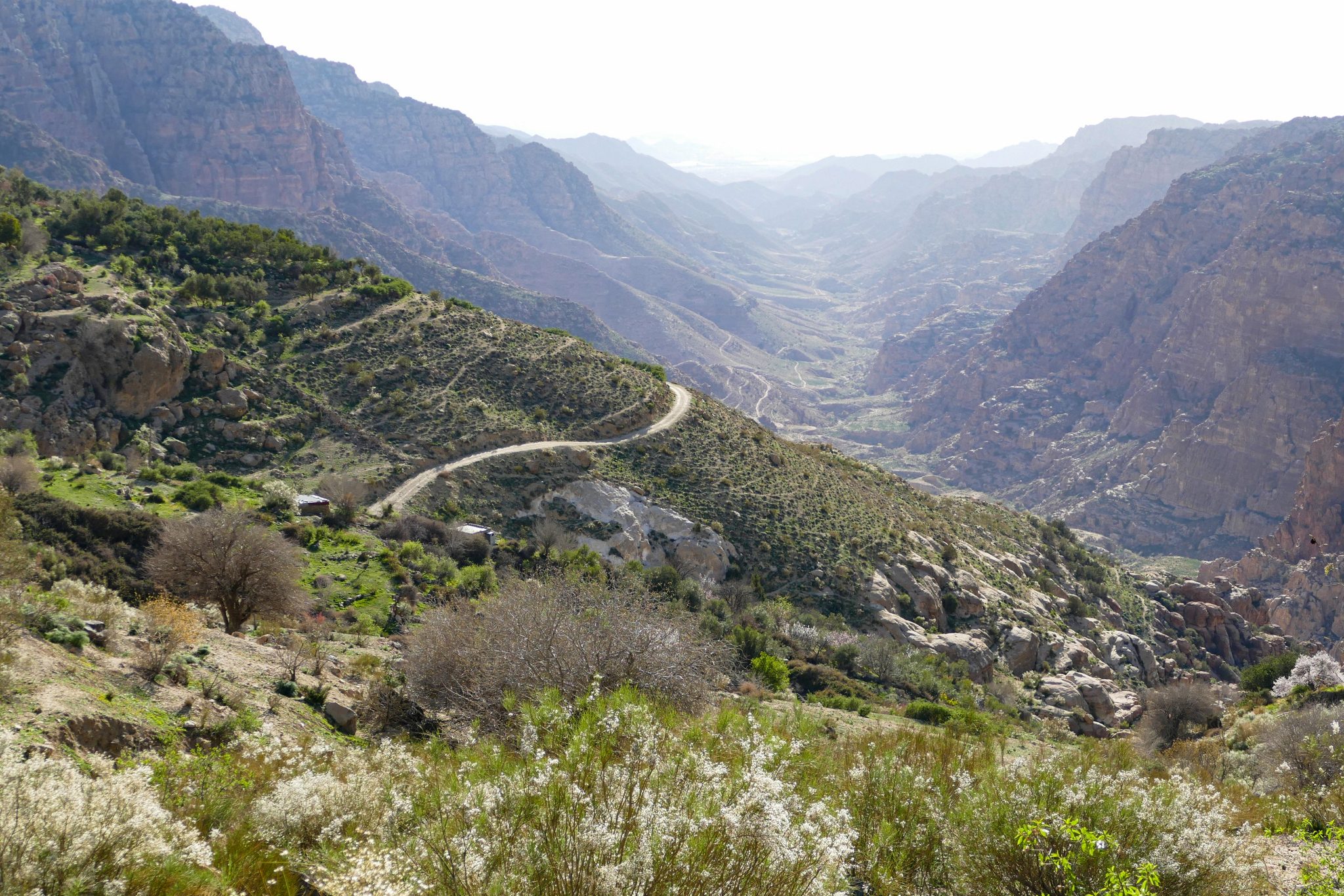 Jordan nature tour photo from Dana Biosphere Reserve