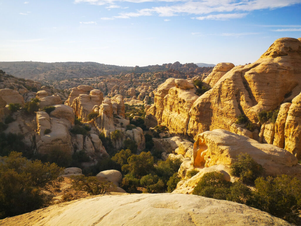 Panoramic mountain and canyon views in Dana Reserve Jordan