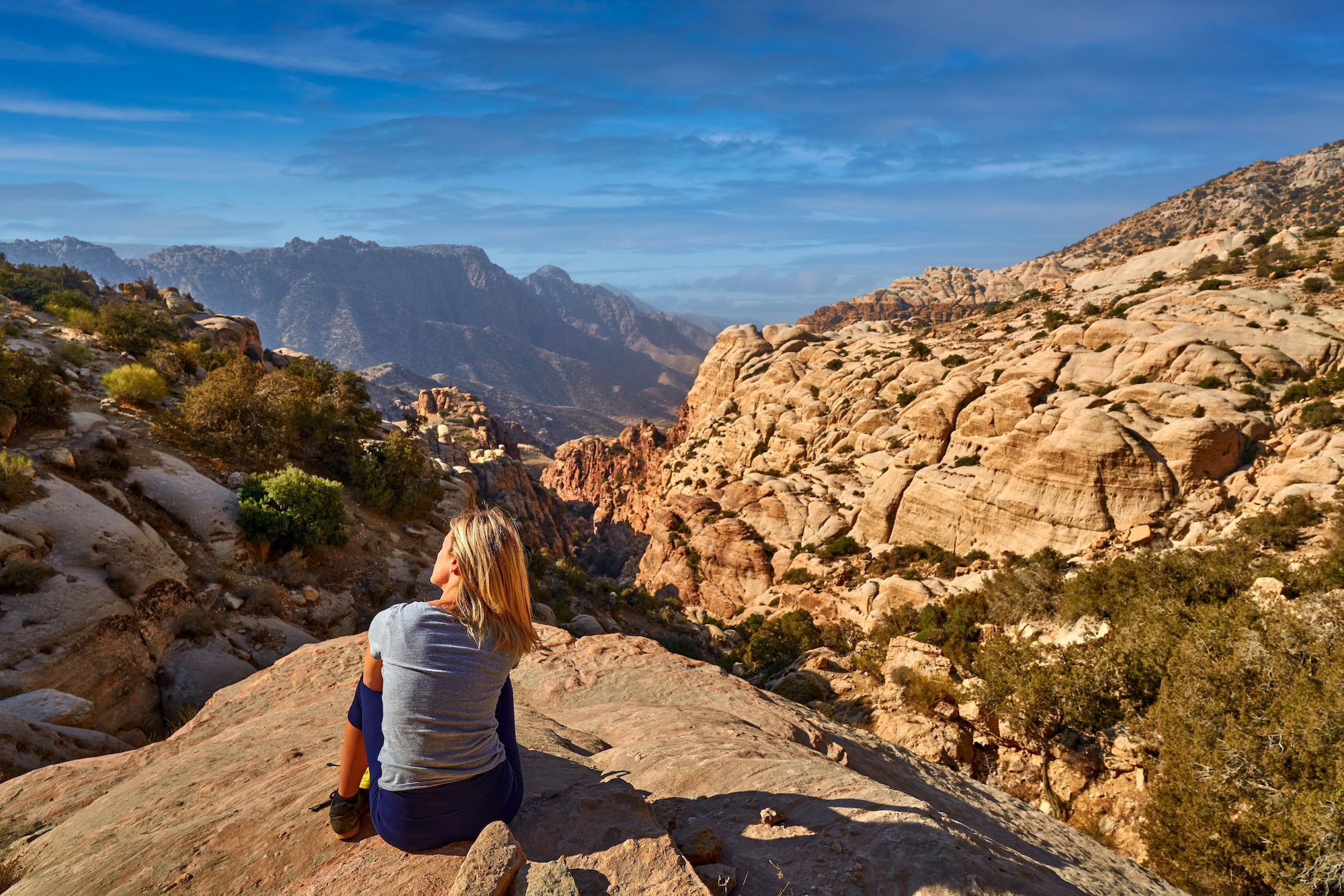 Eco tourism and wildlife scenery in Dana Biosphere Reserve