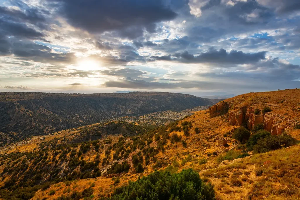 Eco tourism and wildlife scenery in Dana Biosphere Reserve