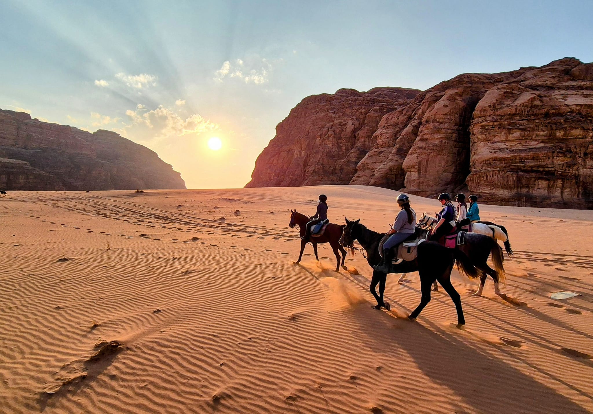 Paseos a caballo en Jordania con paisajes pintorescos y una experiencia de viaje ecuestre.