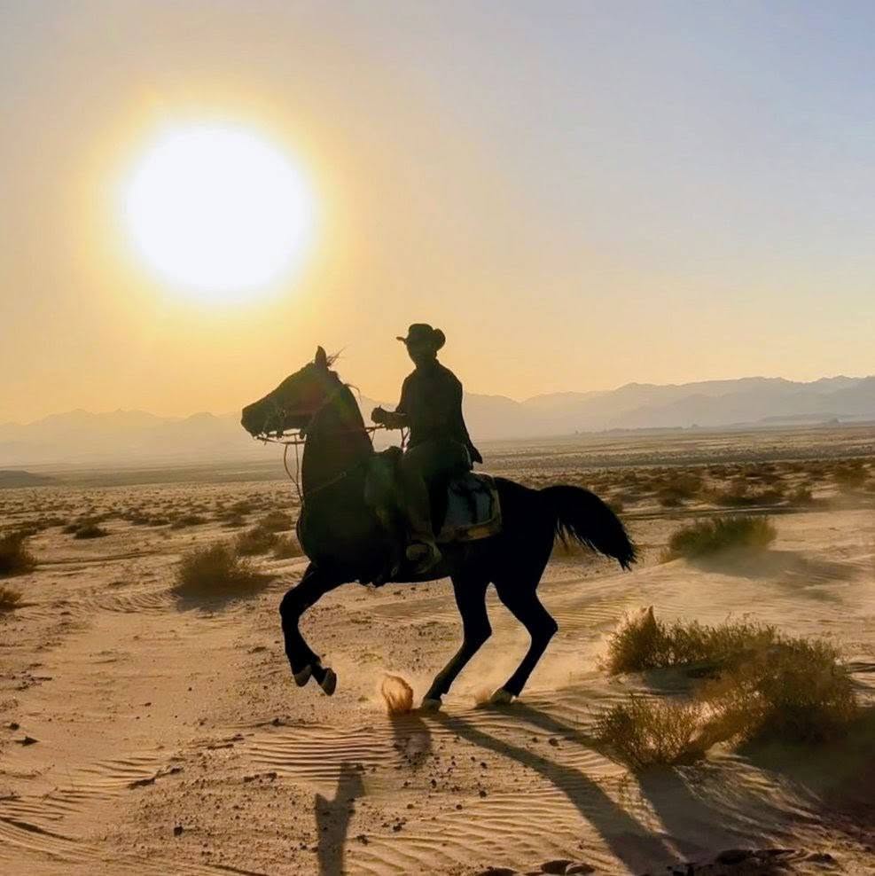 Paseos a caballo en Jordania con paisajes pintorescos y experiencia de viaje ecuestre 13