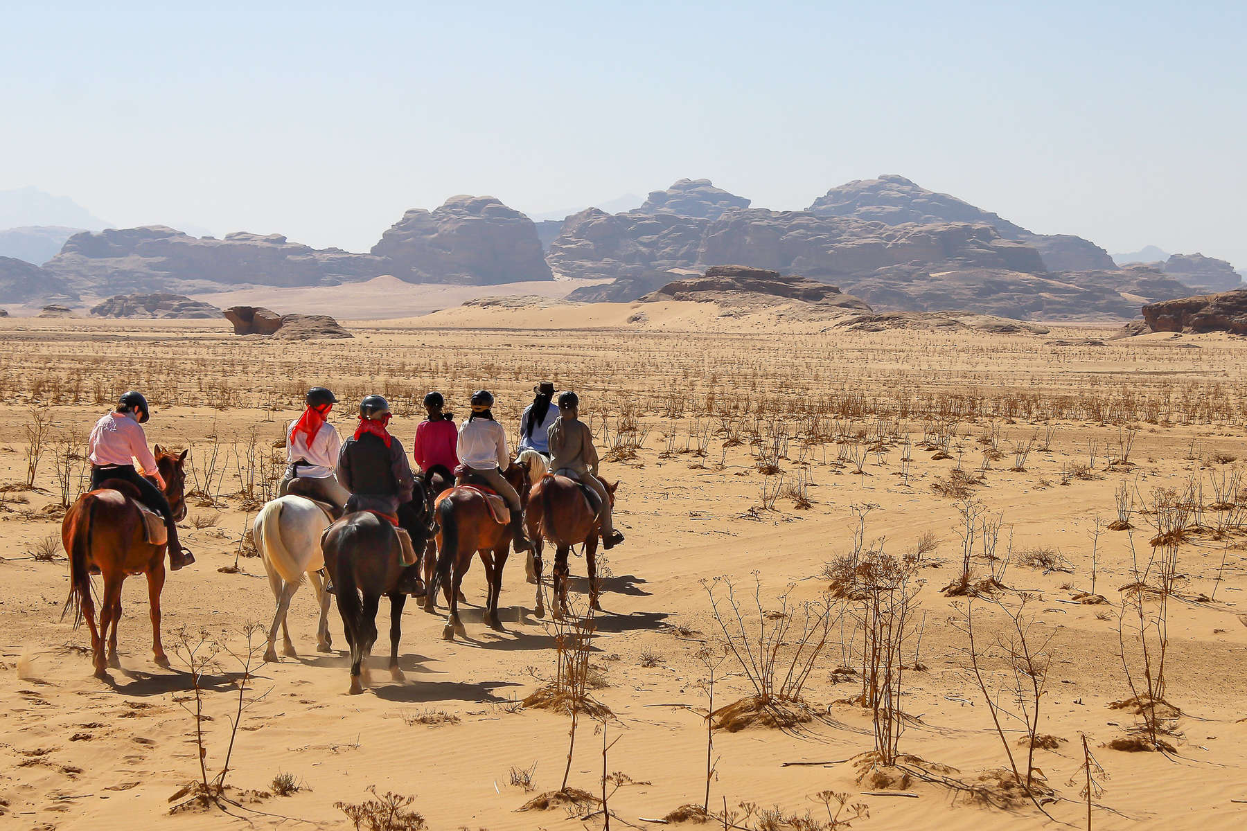 Paseos a caballo en Jordania con paisajes pintorescos y experiencia de viaje ecuestre 2