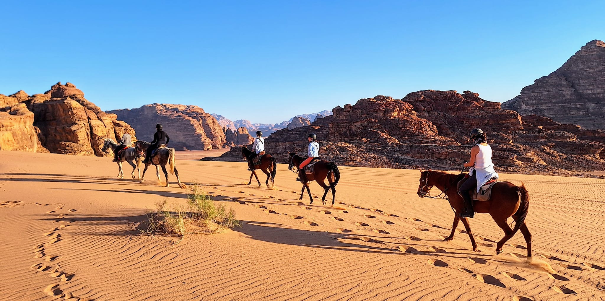 Paseos a caballo en Jordania con paisajes pintorescos y experiencia de viaje ecuestre 3