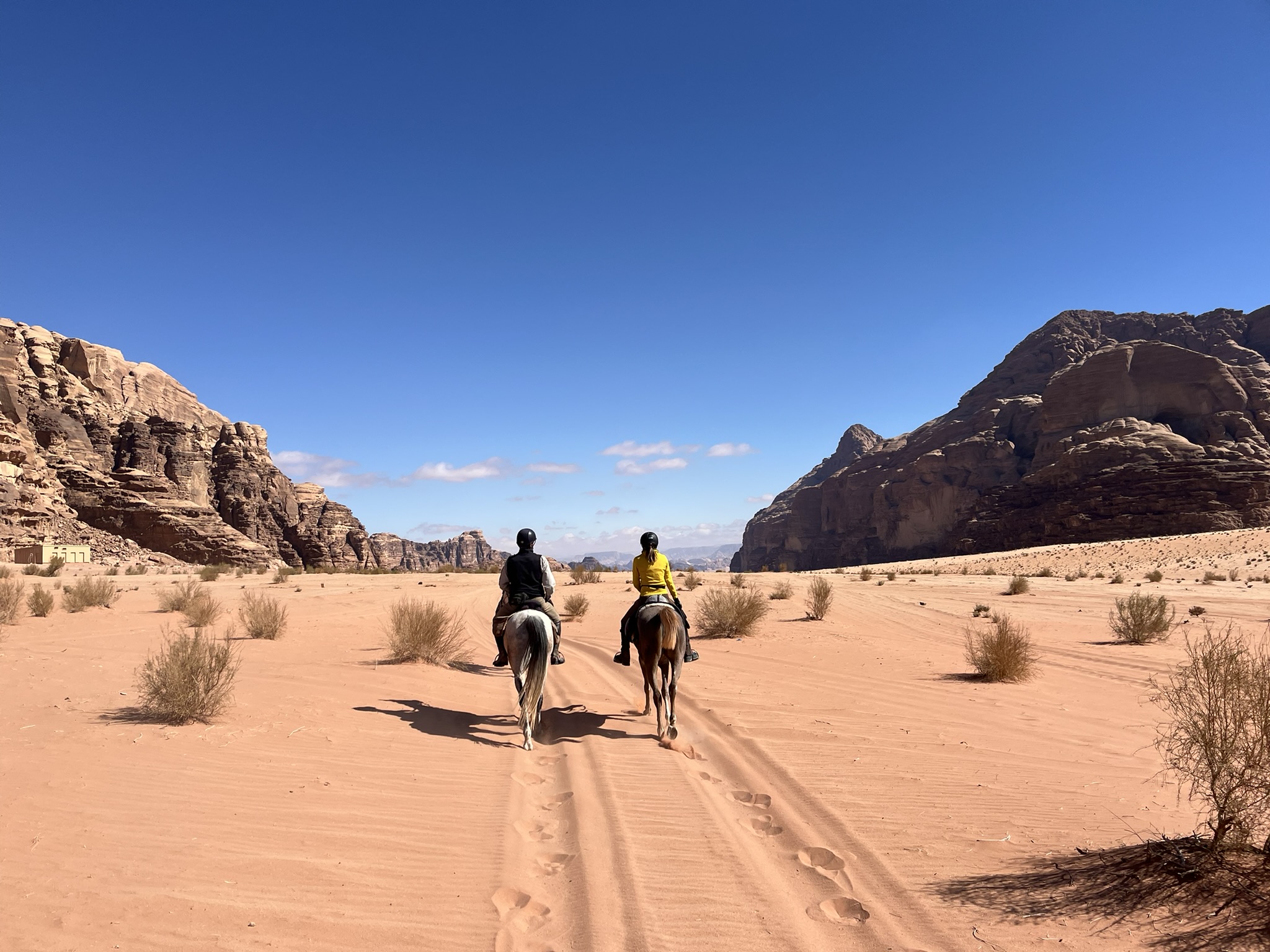Paseos a caballo en Jordania con paisajes pintorescos y experiencia de viaje ecuestre 8