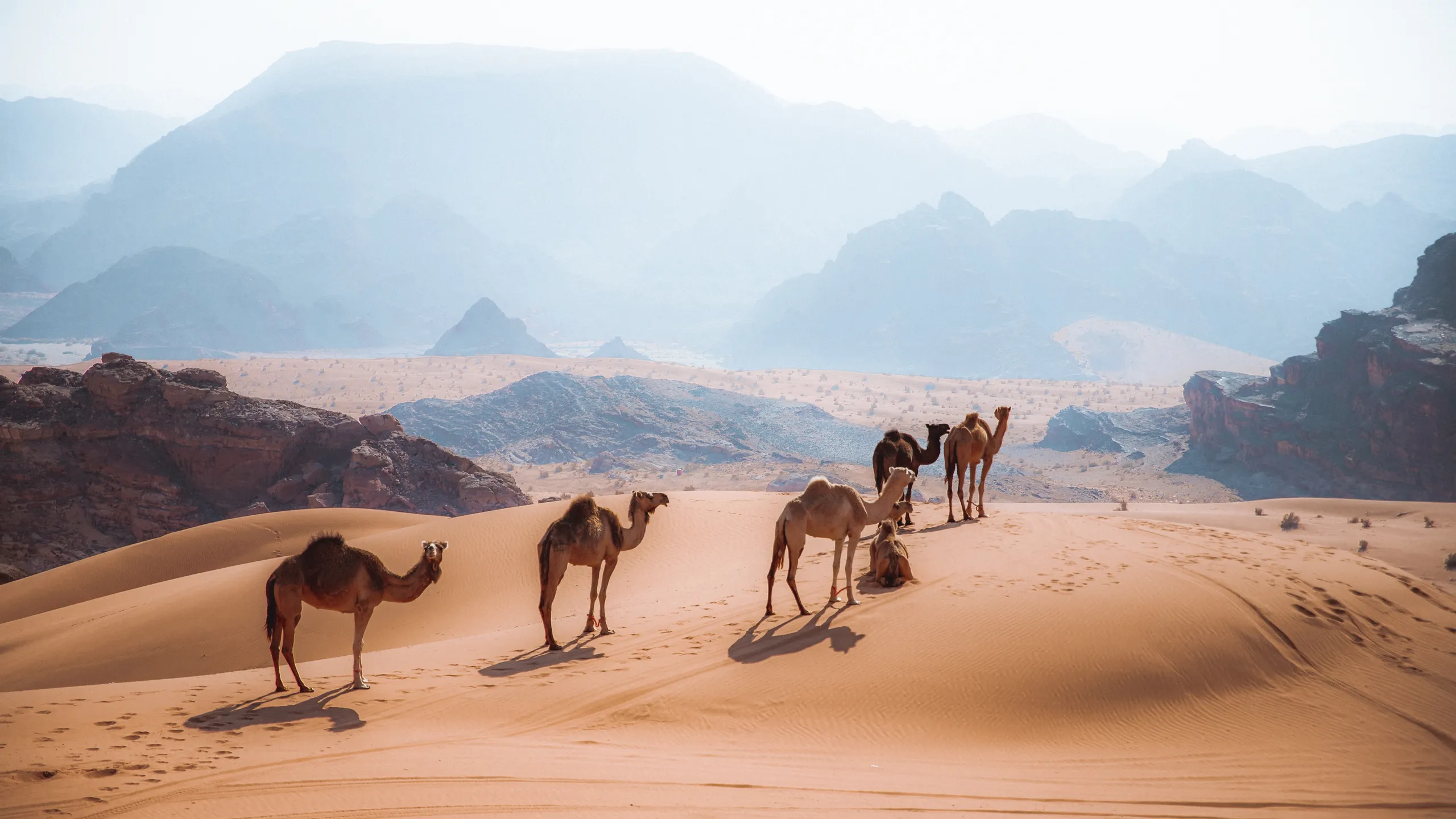 Wüstenlandschaft von Wadi Rum bei einem Familienurlaub in Jordanien mit Kindern