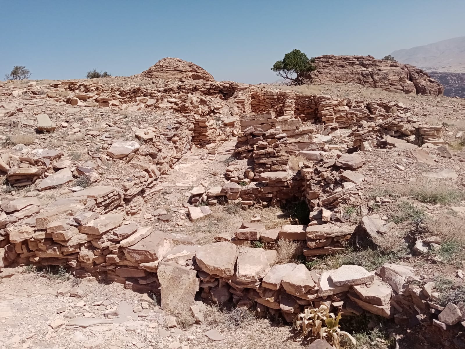 Ruta de senderismo de Jabel Umm Al Biyara en Petra (PT-JHT-007)