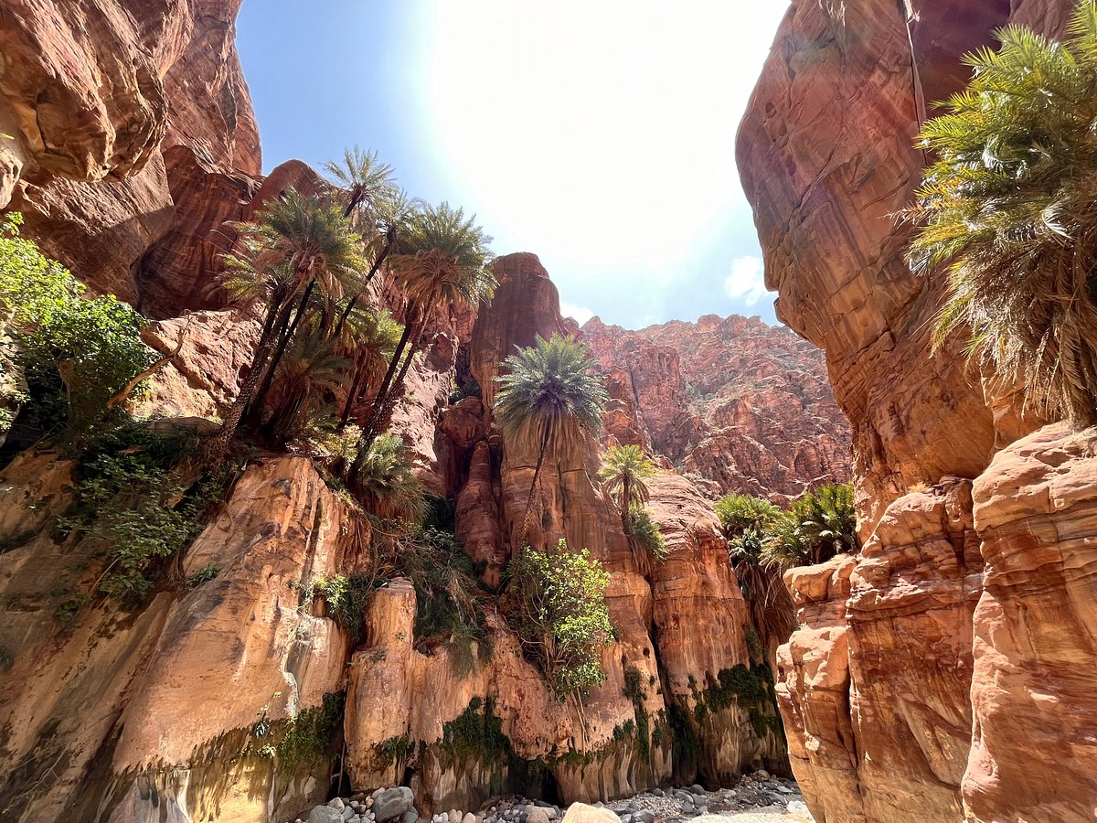Lush canyon landscape and narrow trail in Wadi Ghuweir
