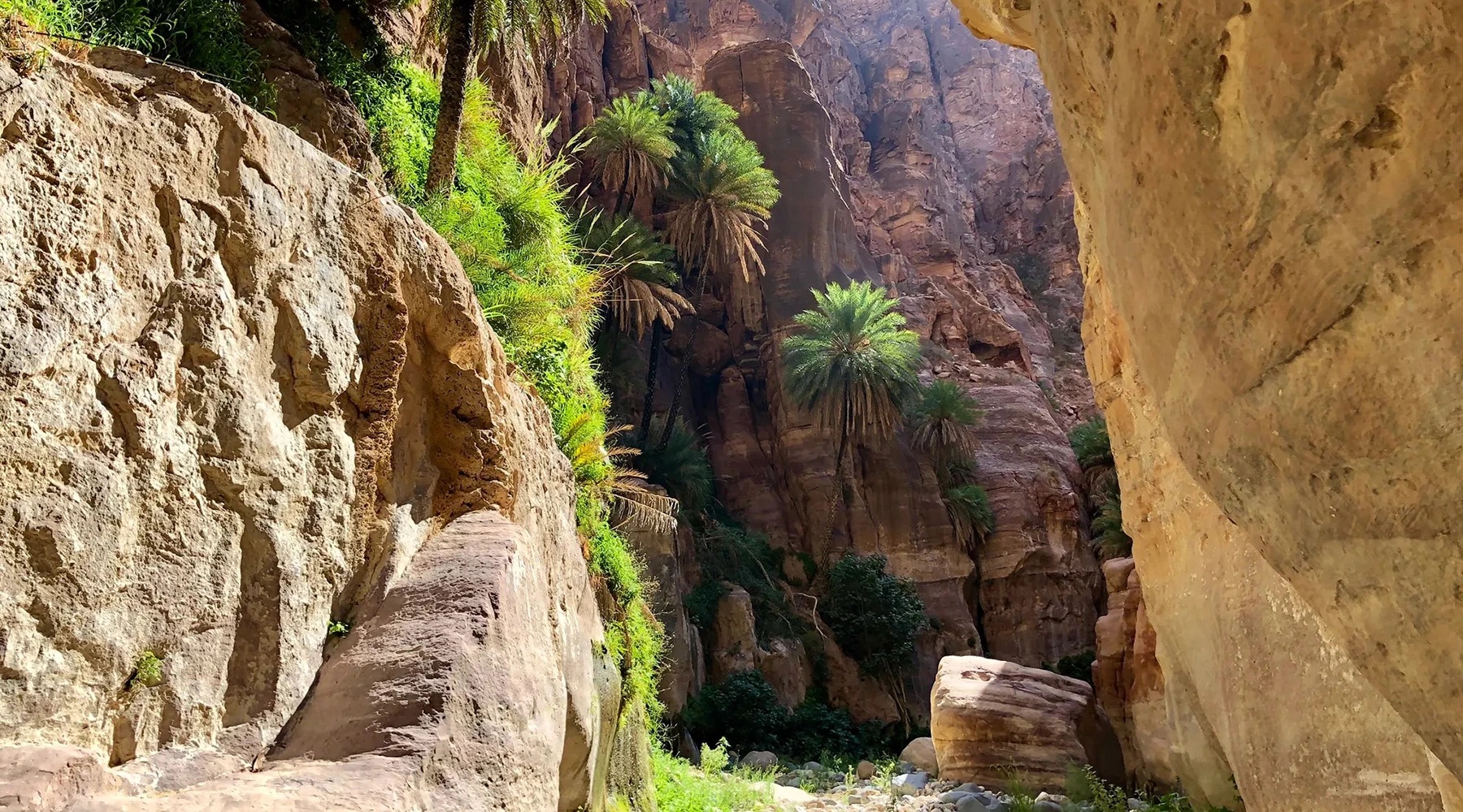 Adventure hiking photo from Wadi Ghuweir trail Jordan