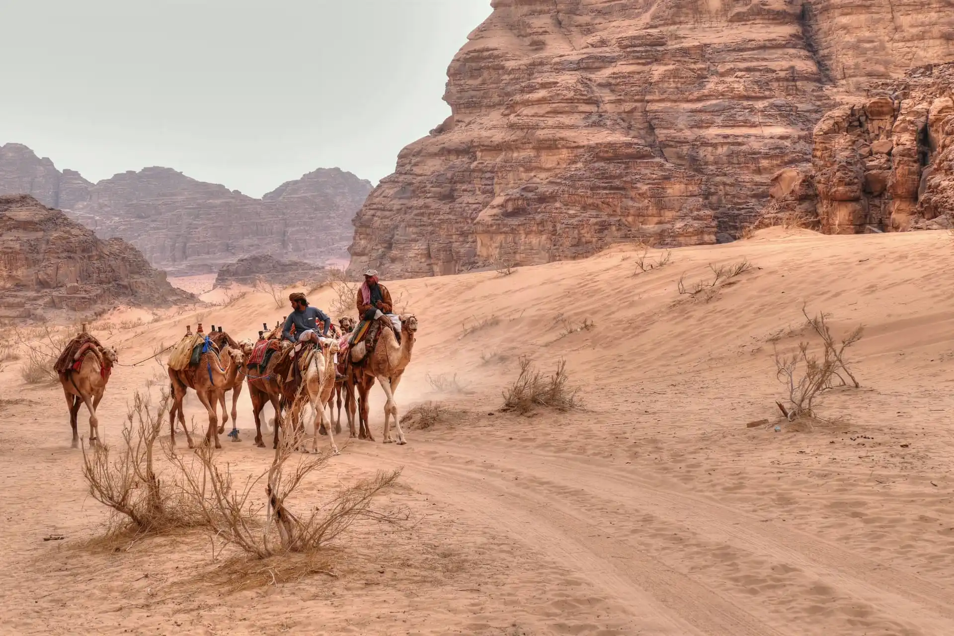 Camel riding in Wadi Rum experience during a private tour of Jordan with Jordan Horizons Tours