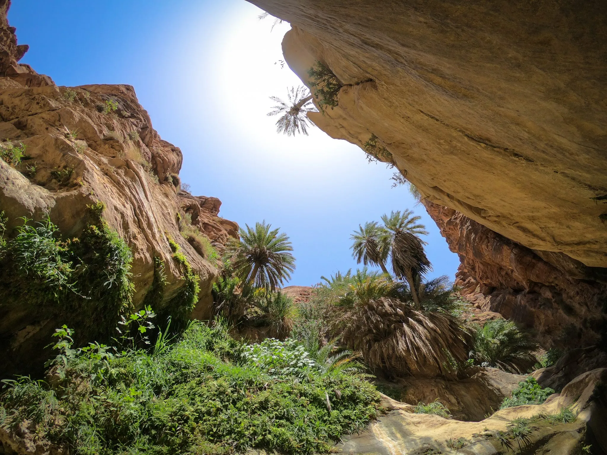 Wadi Al Ghuweir experience during a private tour of Jordan with Jordan Horizons Tours