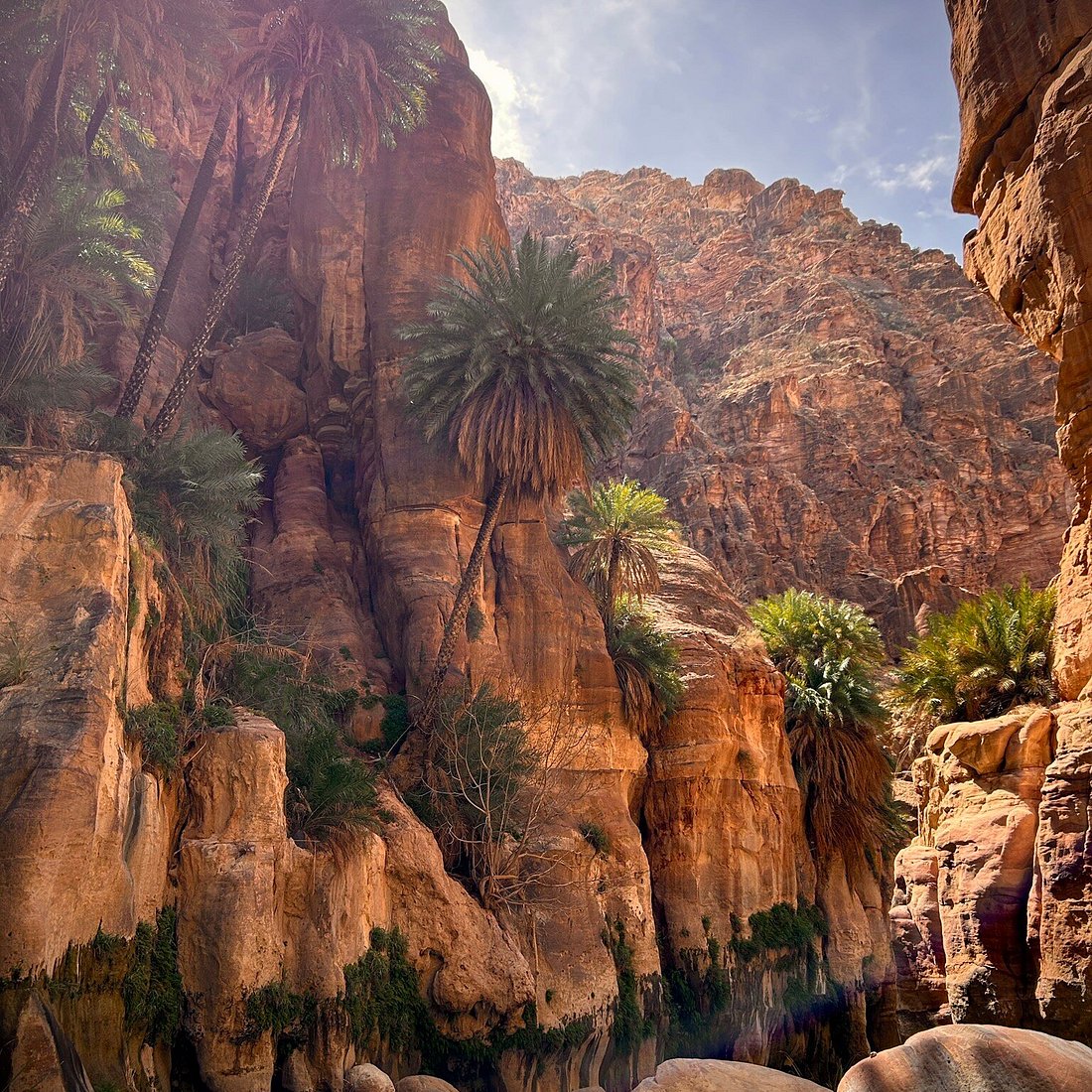 Wadi Al Ghuweir experience during a private tour of Jordan with Jordan Horizons Tours