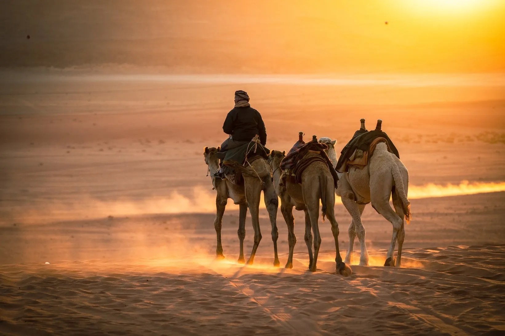 Camel riding in Wadi Rum experience during a private tour of Jordan with Jordan Horizons Tours