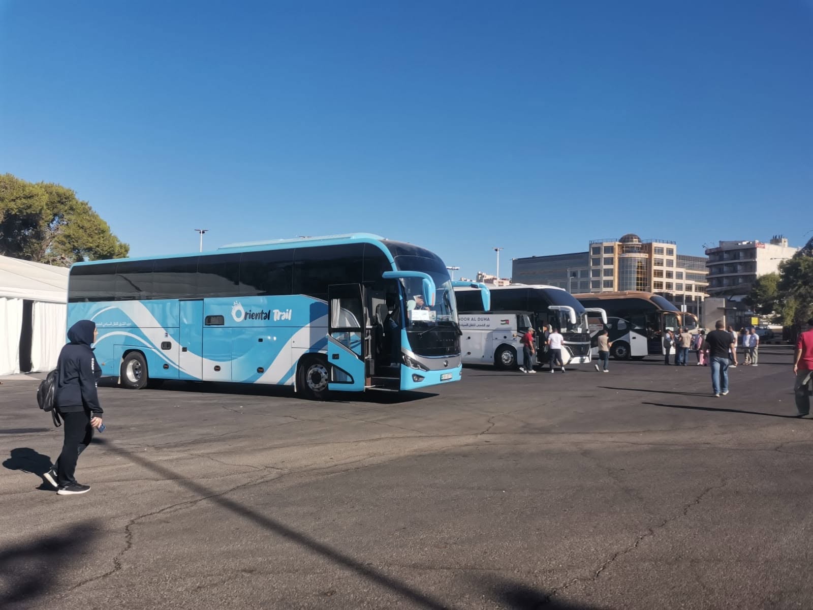 Tour organizzato di gruppo con trasporto e guida in Giordania