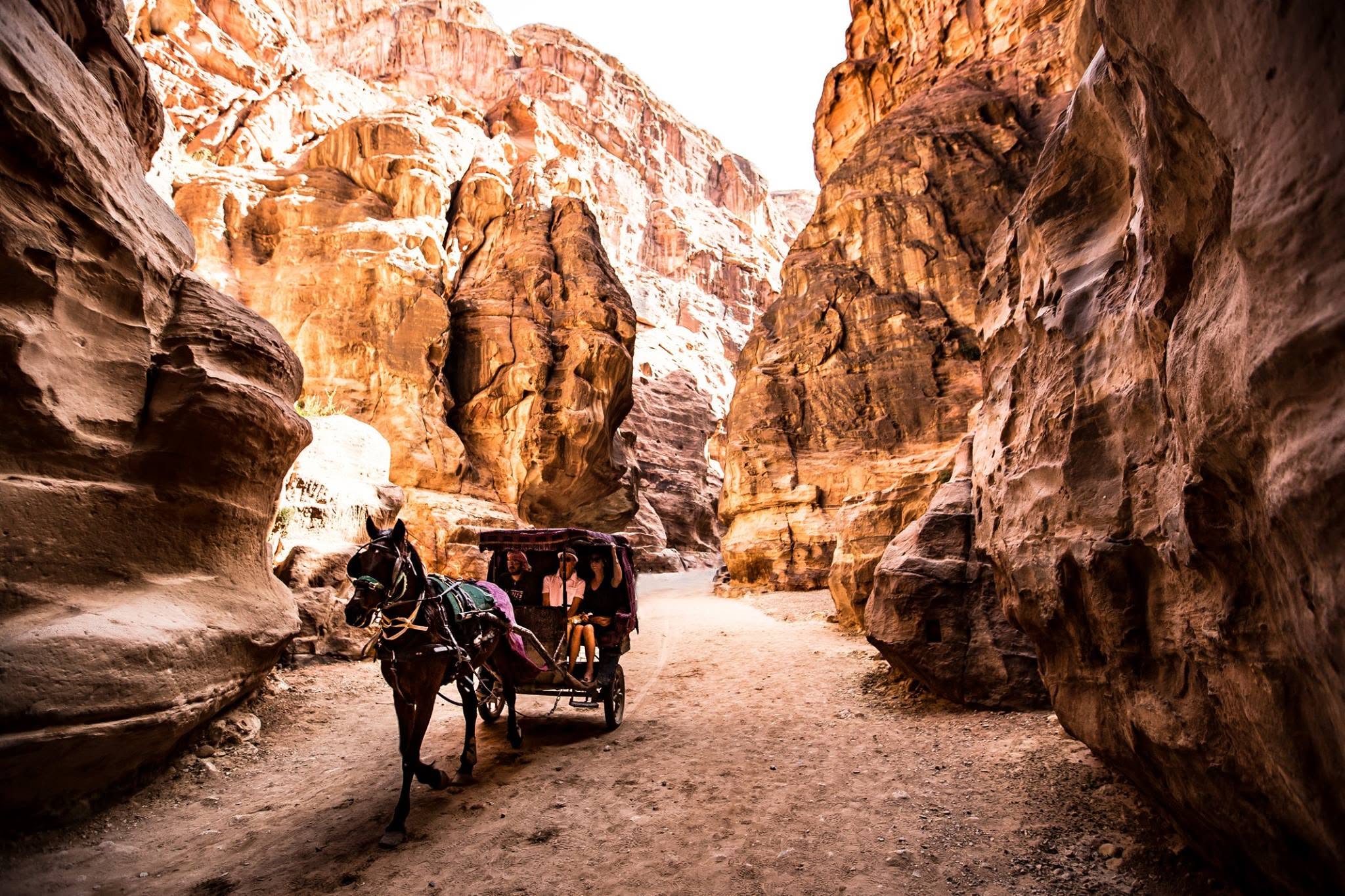 Fotografías variadas de viajes a Jordania que muestran paisajes, cultura, recorridos turísticos y escenas locales 19