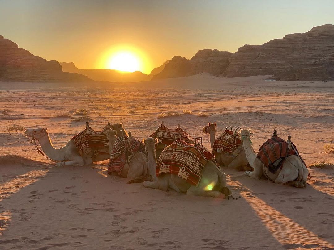 Fotografía variada de viajes a Jordania con paisajes, cultura, recorridos y escenas locales 6
