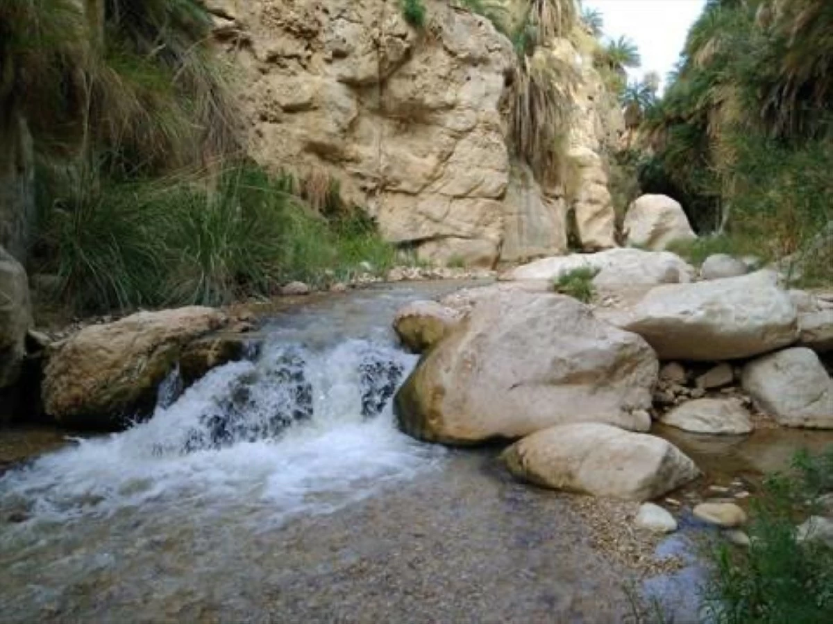 Wadi Ibn Hammad canyon near Karak Jordan with water, greenery and narrow gorge scenery